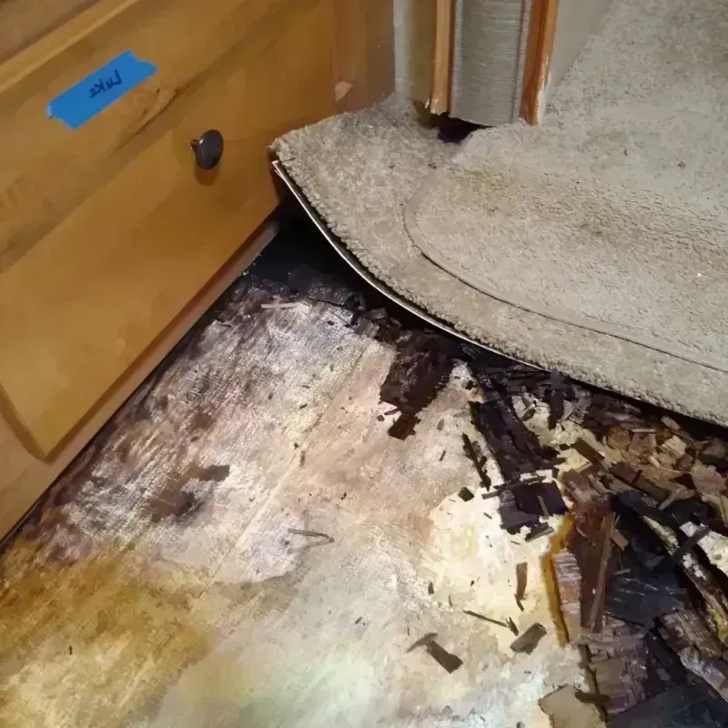 Wood Floor Water Damage in Lawrence, KS